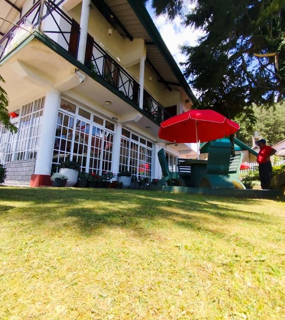 Guest house Blossomwell 3*