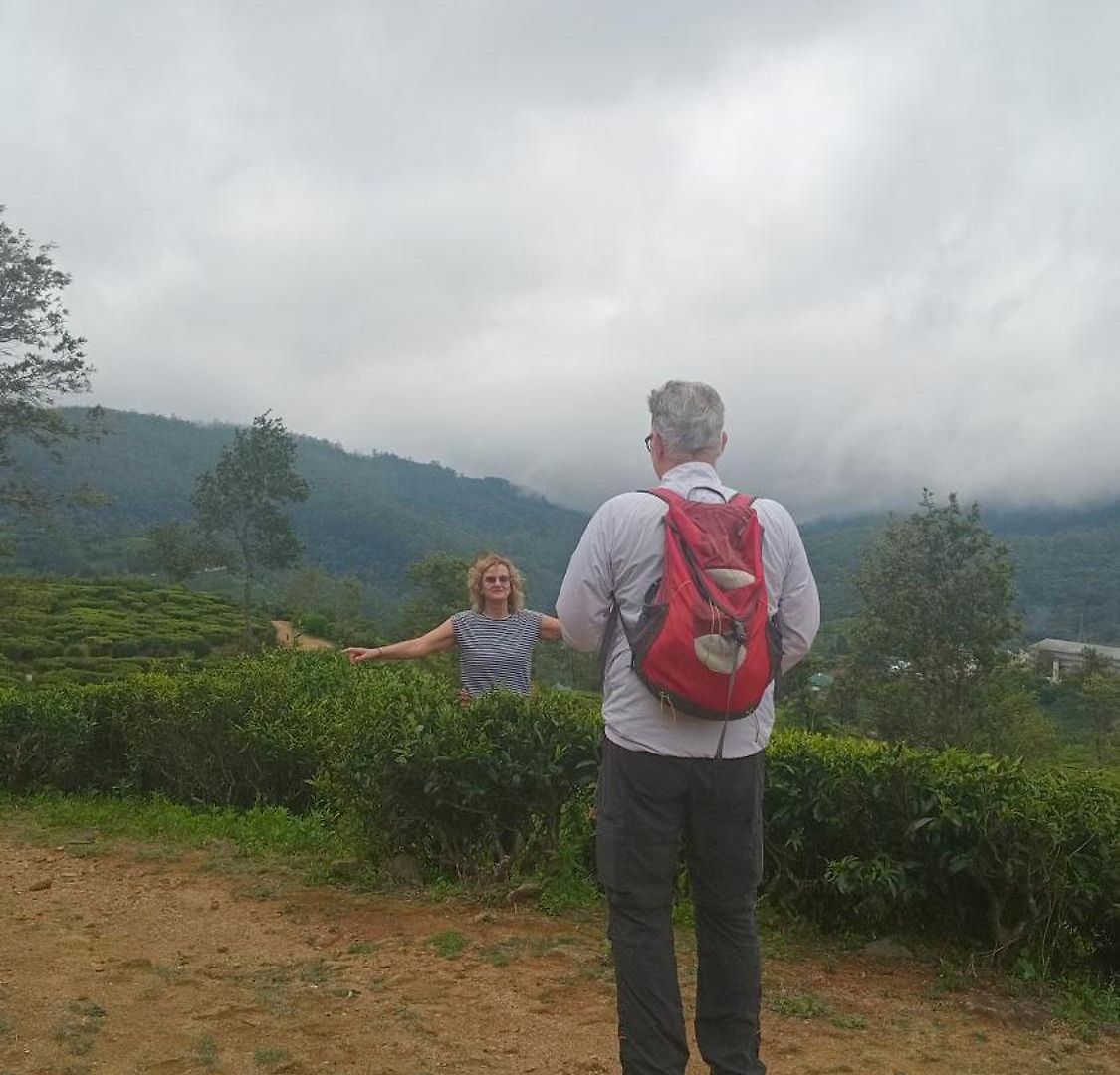 The Mount *
