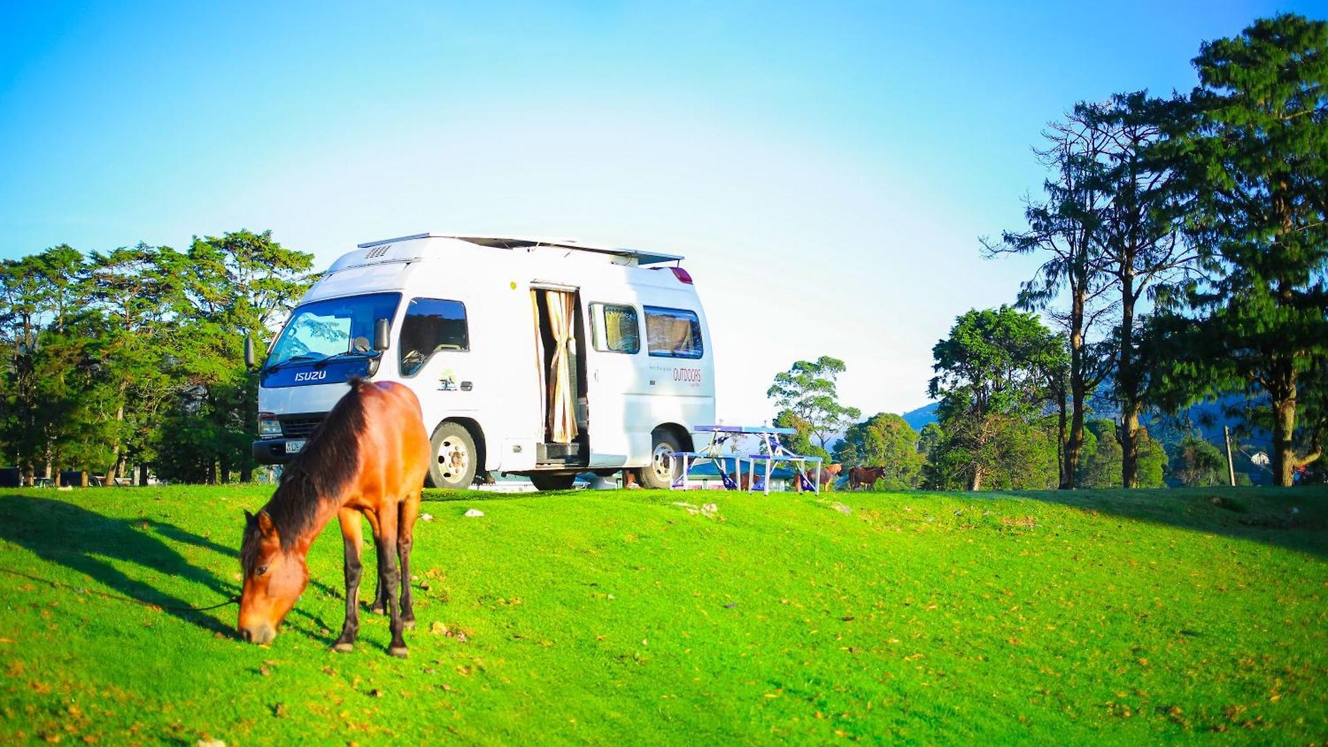 Campsite Caravan - *
