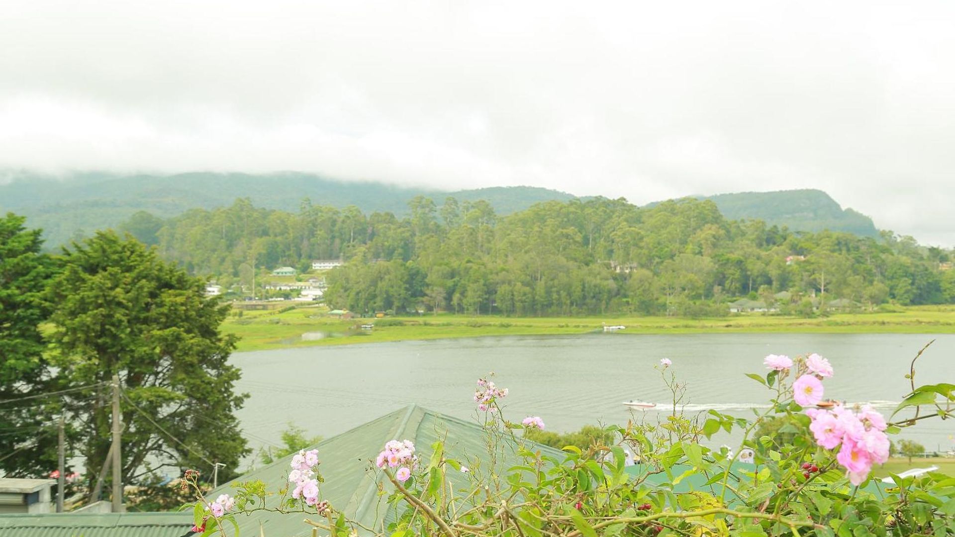 Bed & Breakfast Gregory View 3*