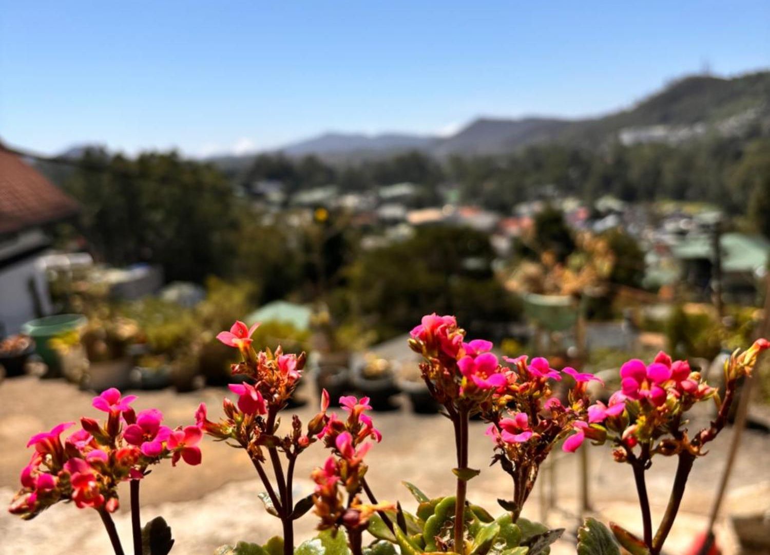 Shiny View Homestay Nuwara Eliya