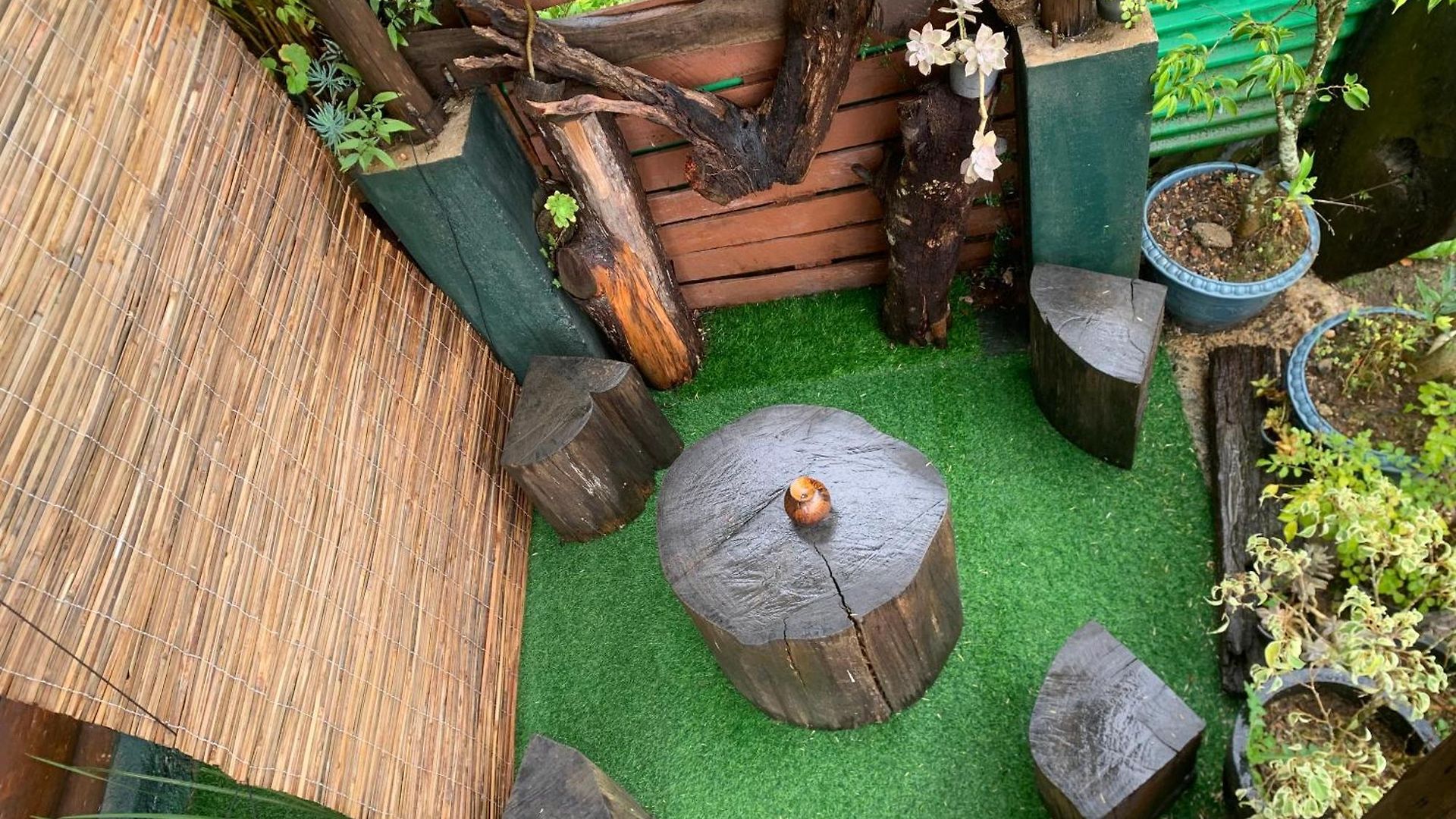 Homestay 2020 Wooden