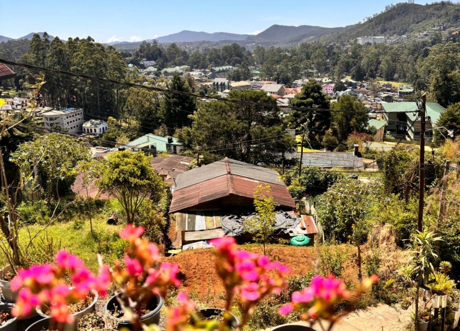 Shiny View Guest house