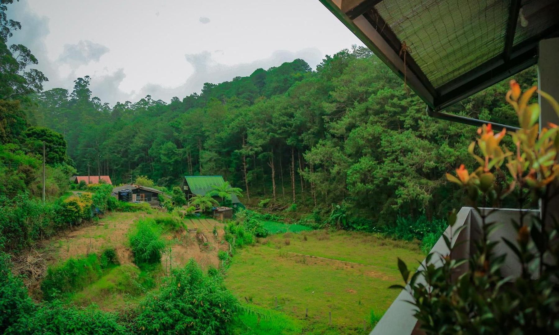 Apartment The Backwoods -