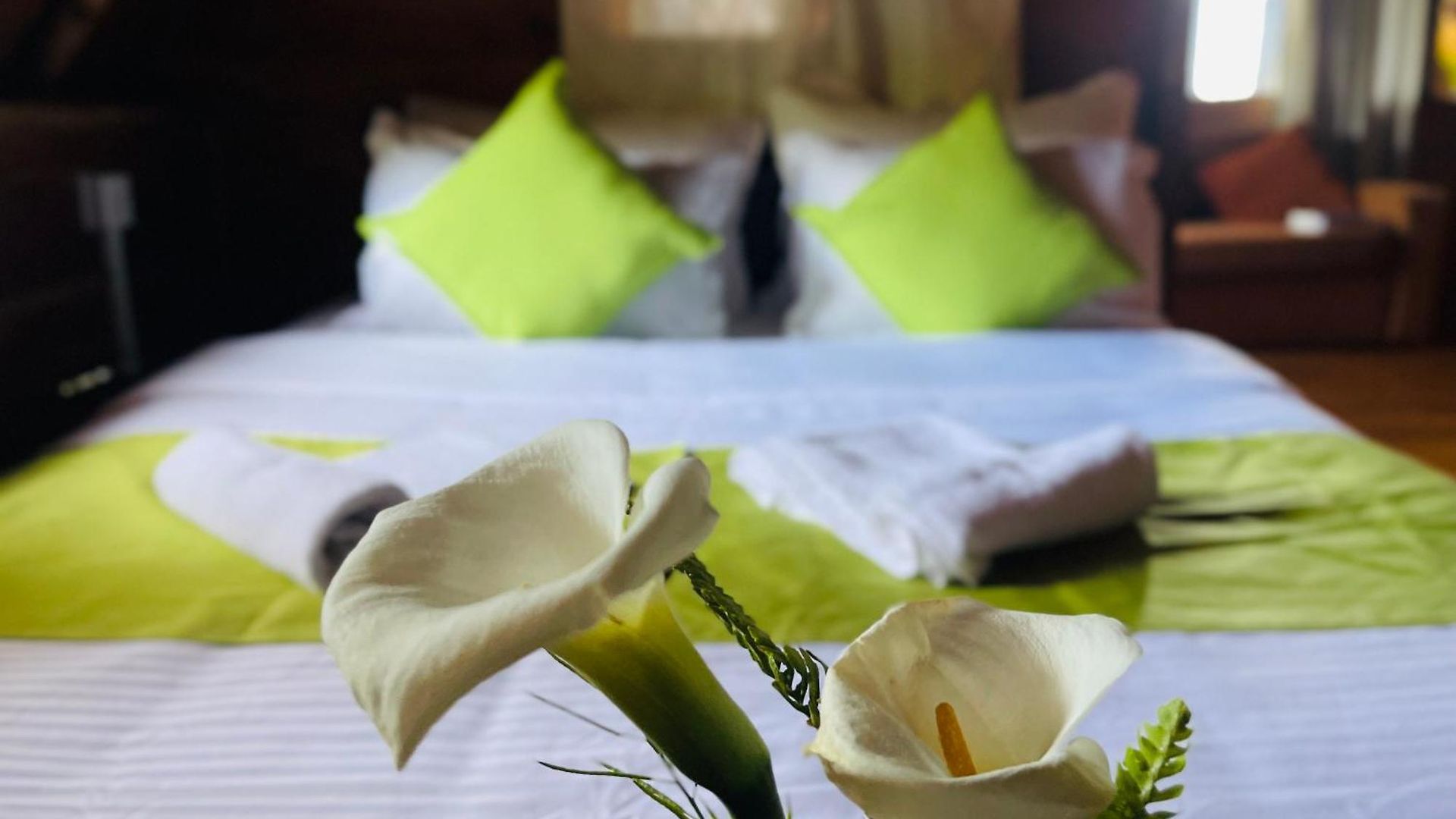 Hotel The Frost 3*