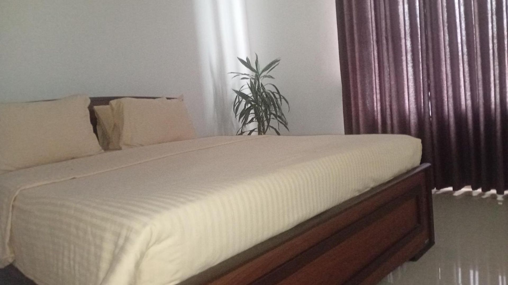 Inn The Fern 2*