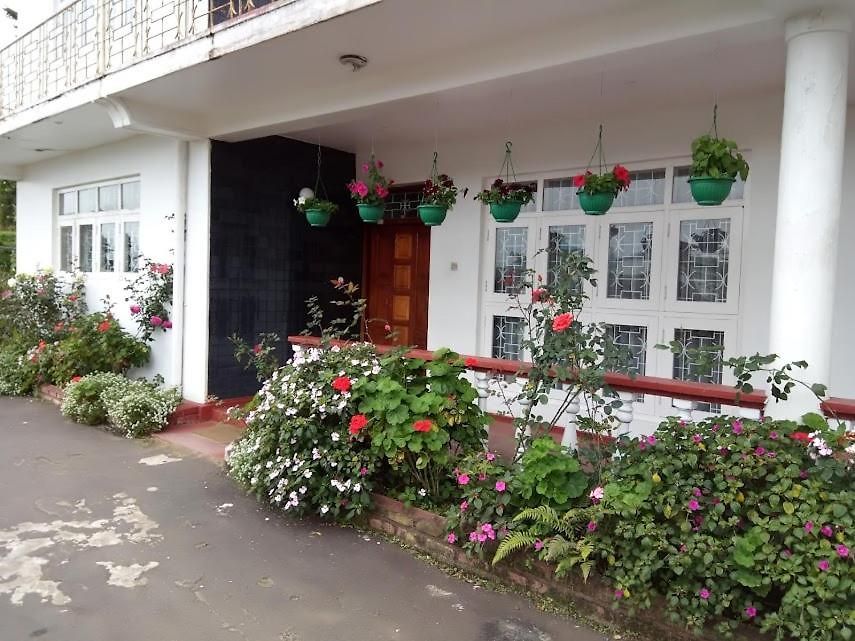 Olive Grand Guest house 3*
