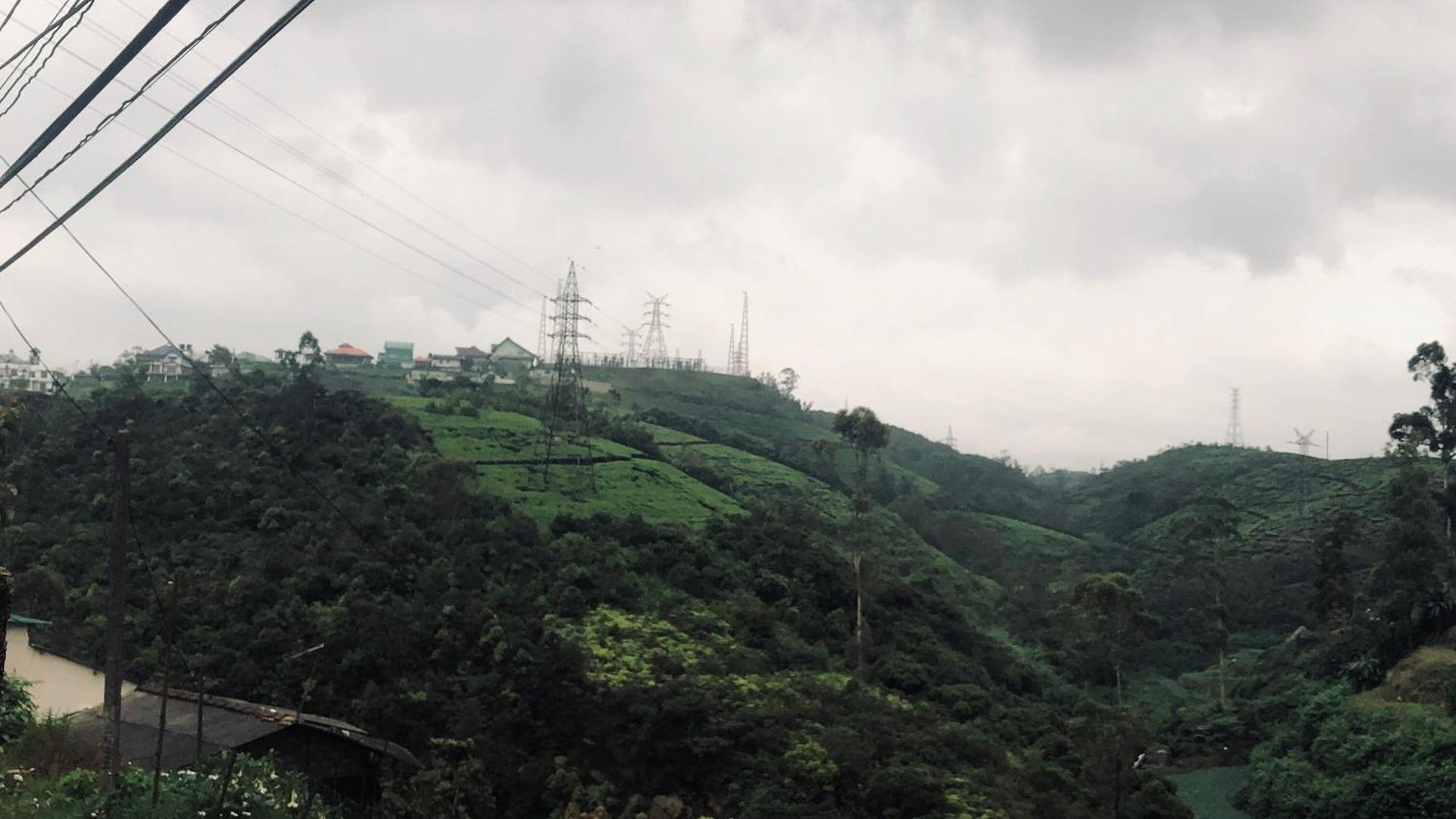 Tea Of Life * Nuwara Eliya