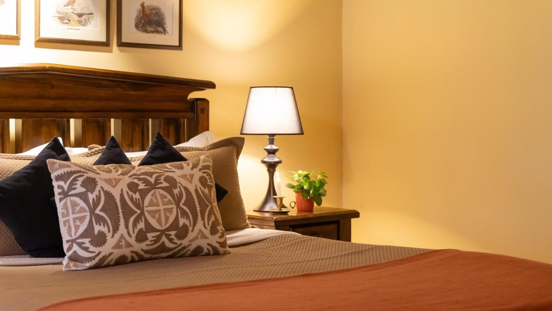 Ferncliff Guest house