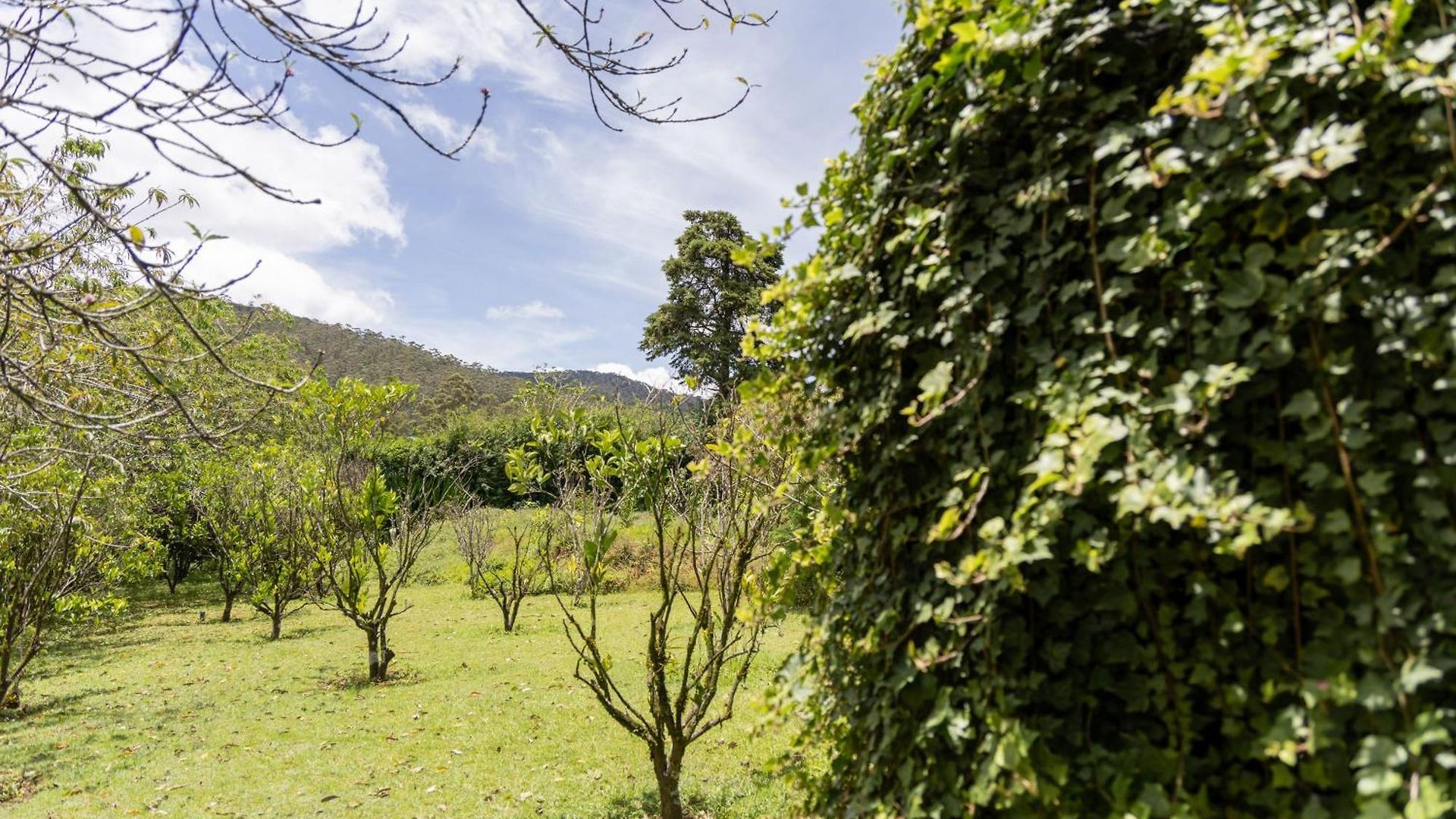 Guest house Ferncliff
