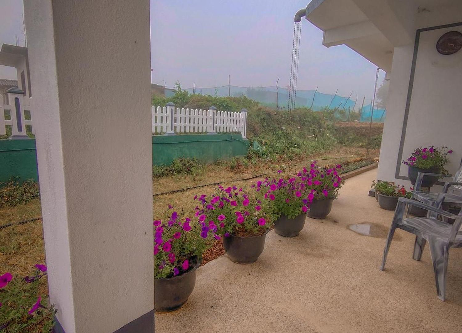 Guest house -