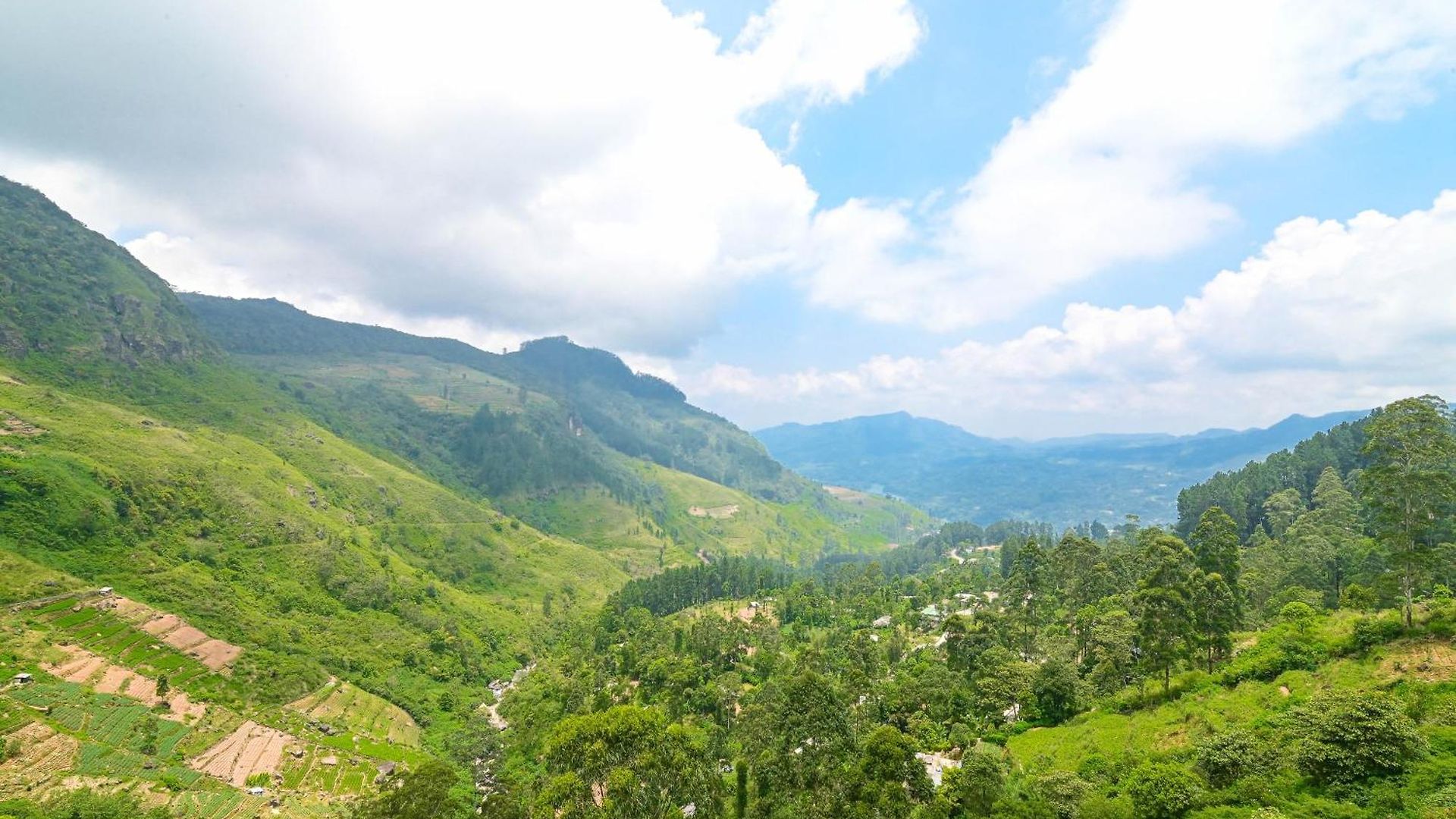 Natural View * Nuwara Eliya