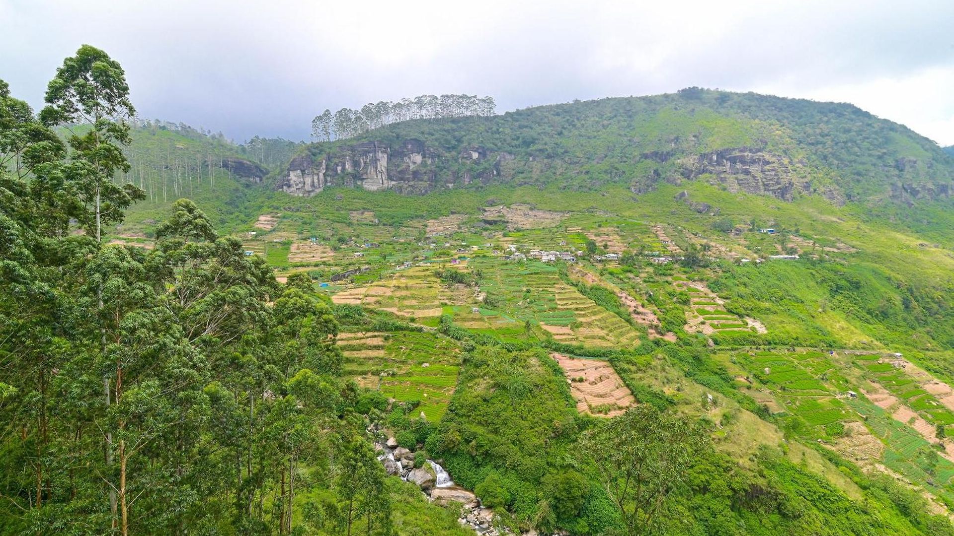 Natural View * Nuwara Eliya