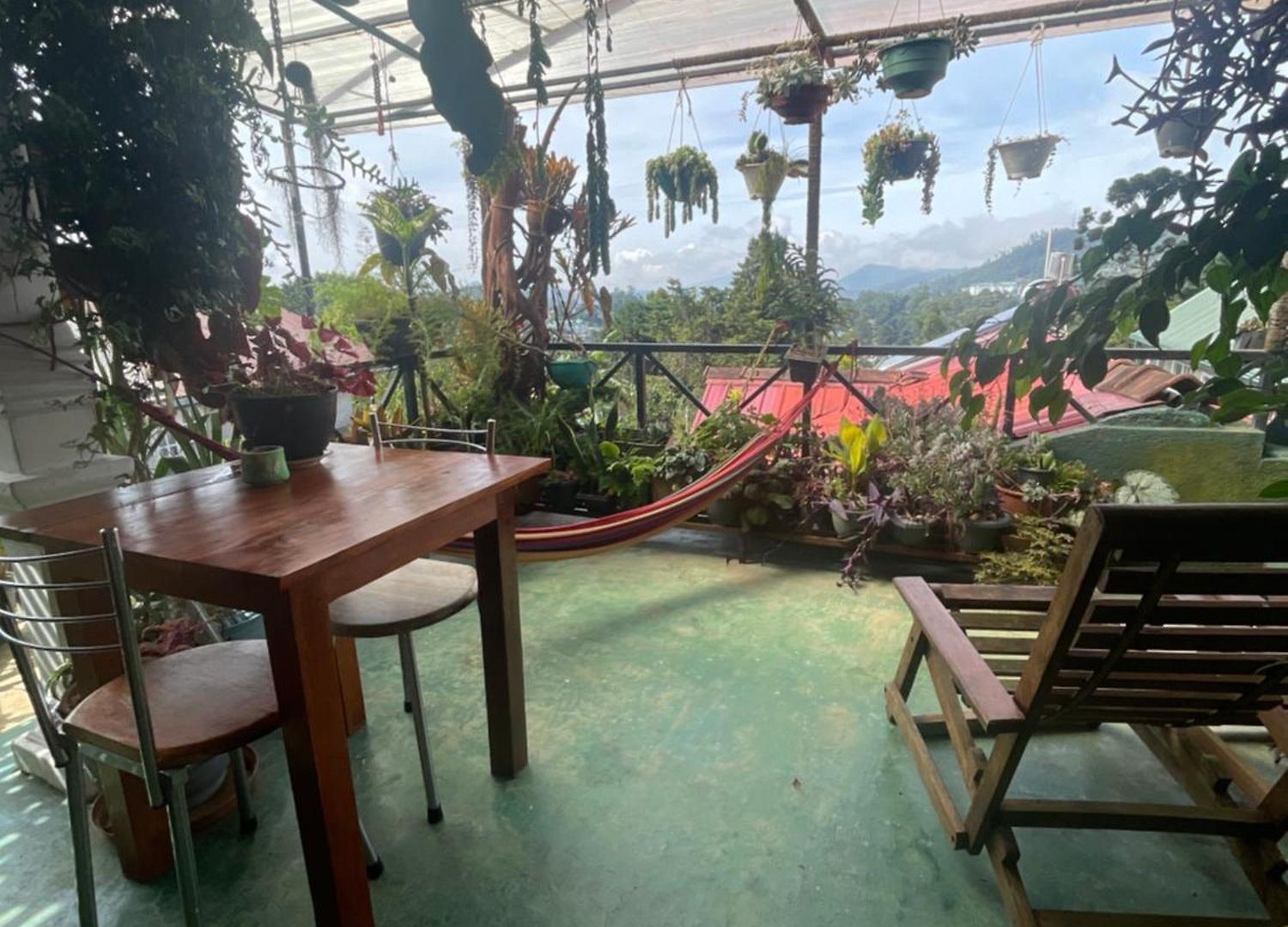 Redwood Guest house