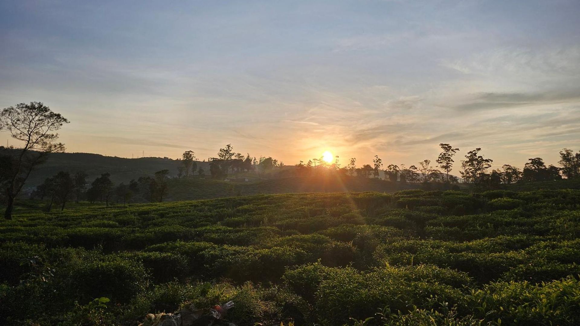 Campsite Valley Nuwara Eliya