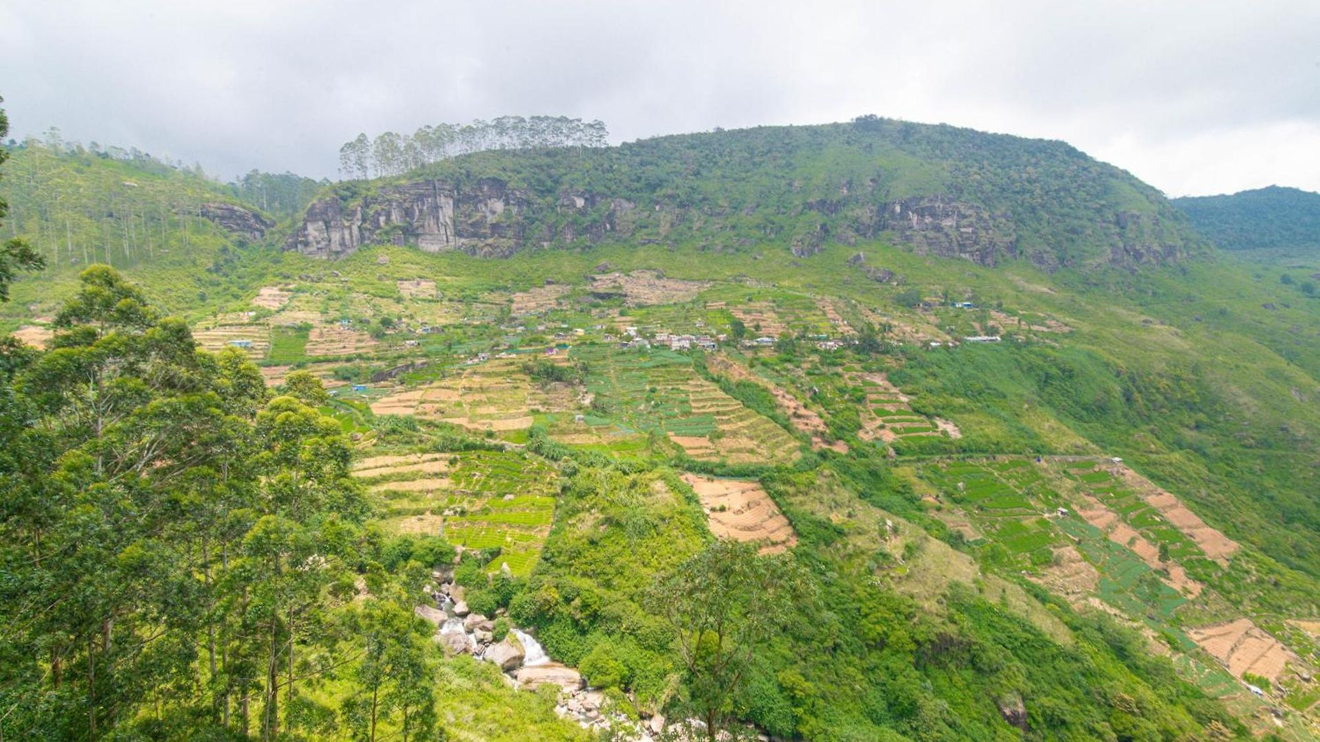 Resort Natural View Nuwara Eliya
