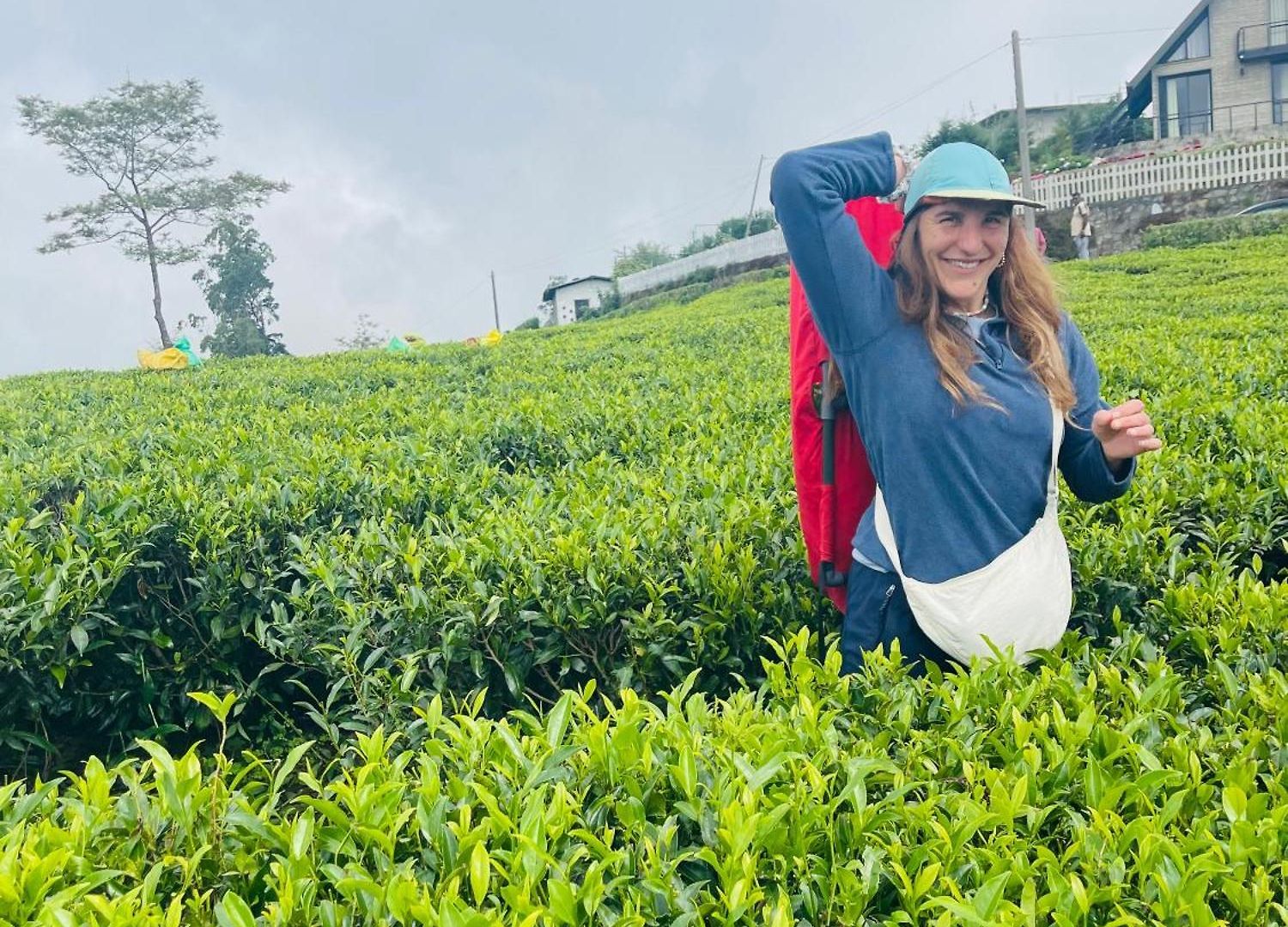 The Frost Hotel Nuwara Eliya