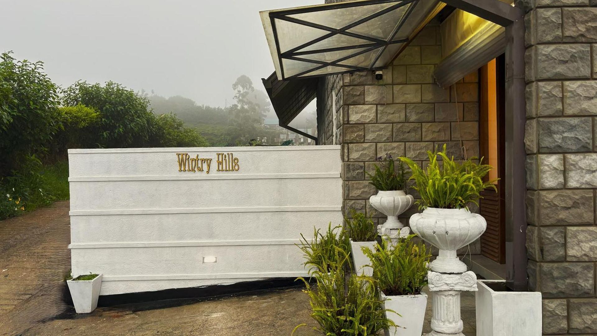 Wintry Hills-nuwara Eliya *