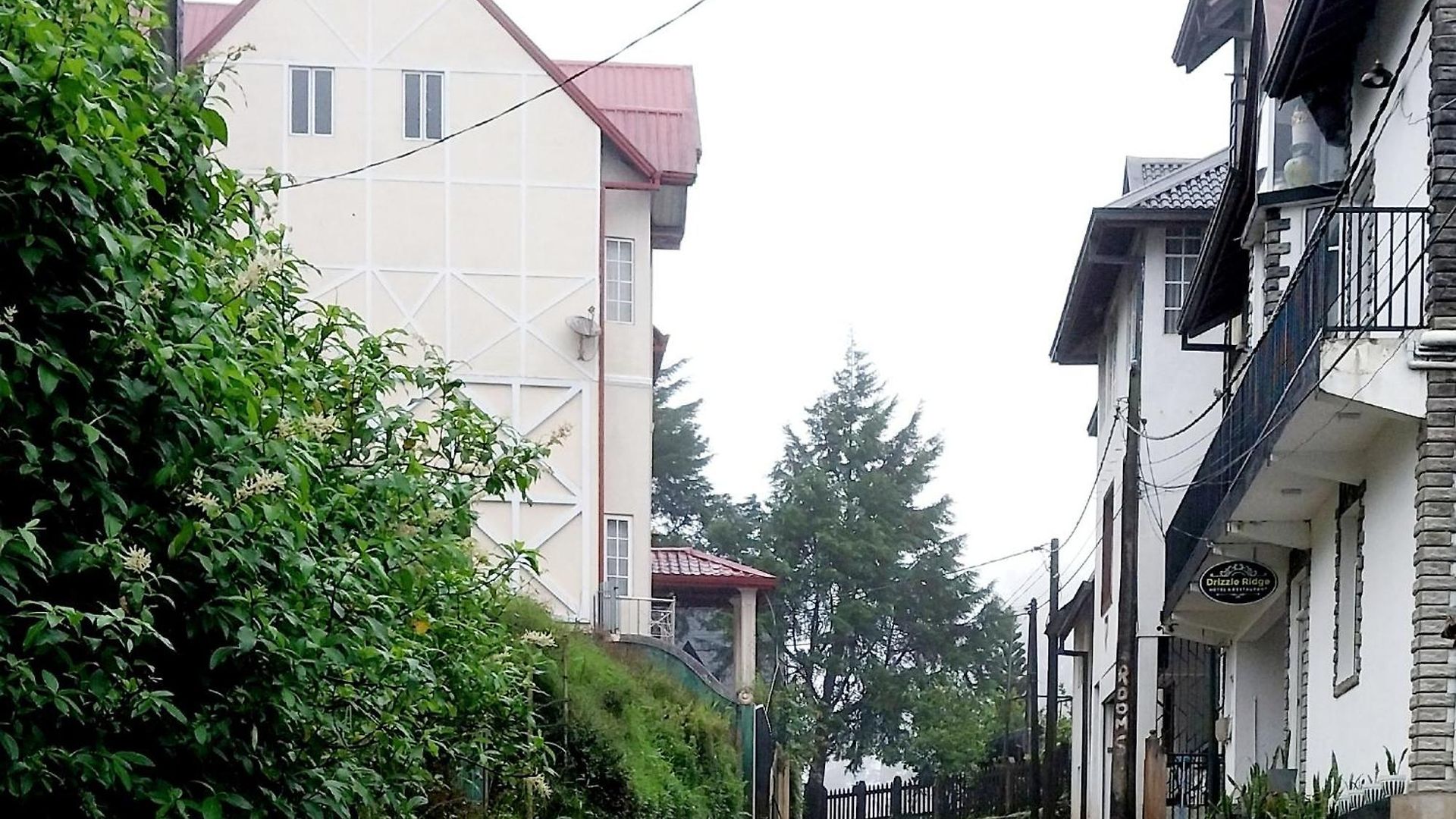 Drizzle Ridge Hotel