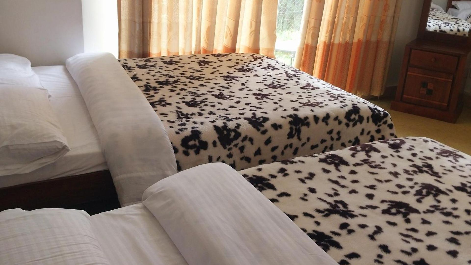 Drizzle Ridge Hotel