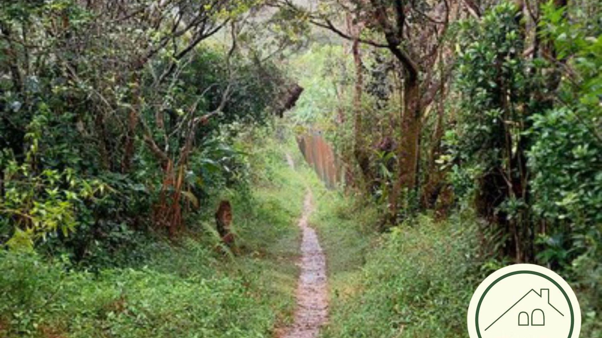 Lucky