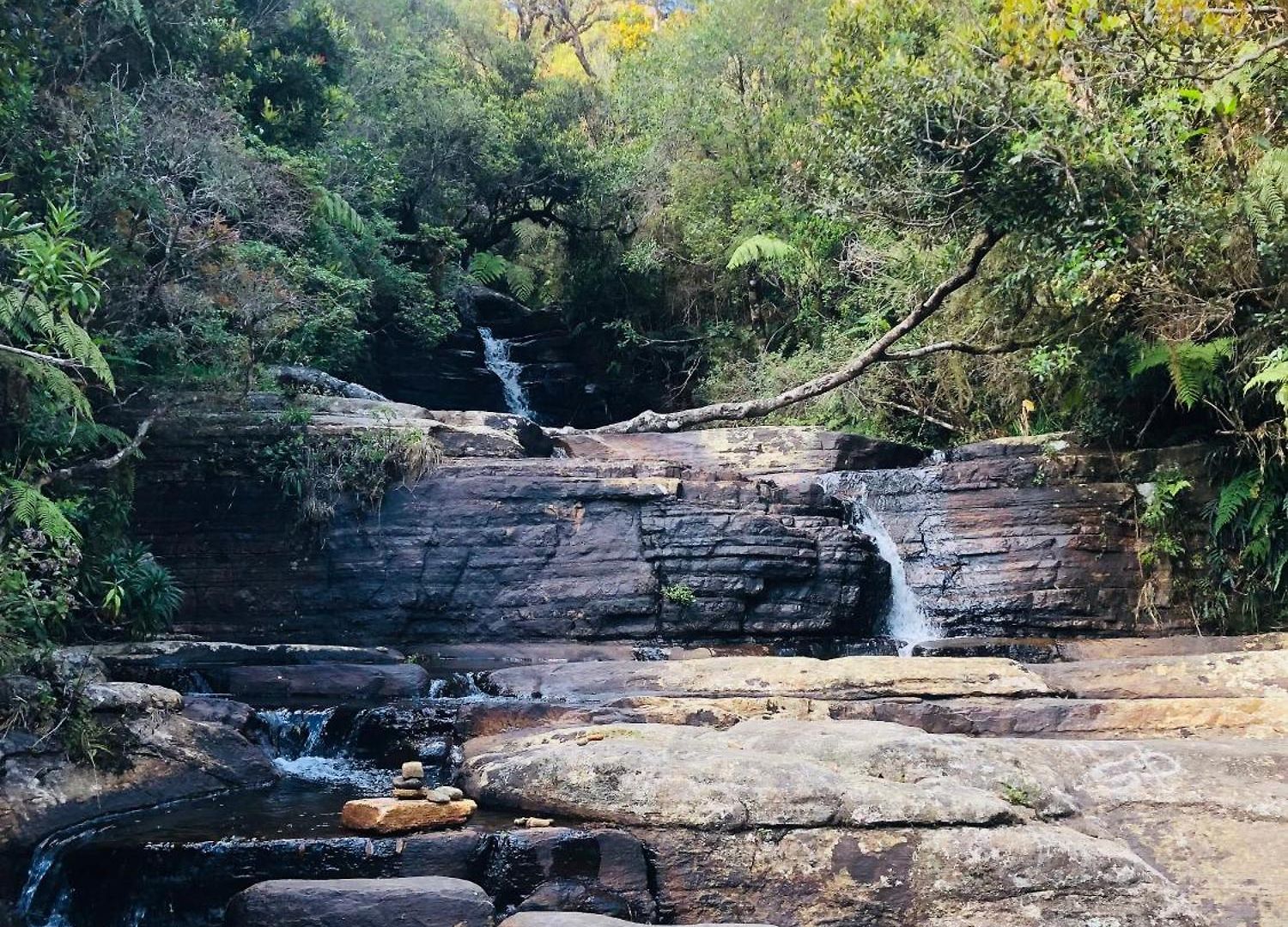 Homestay And Nuwara Eliya