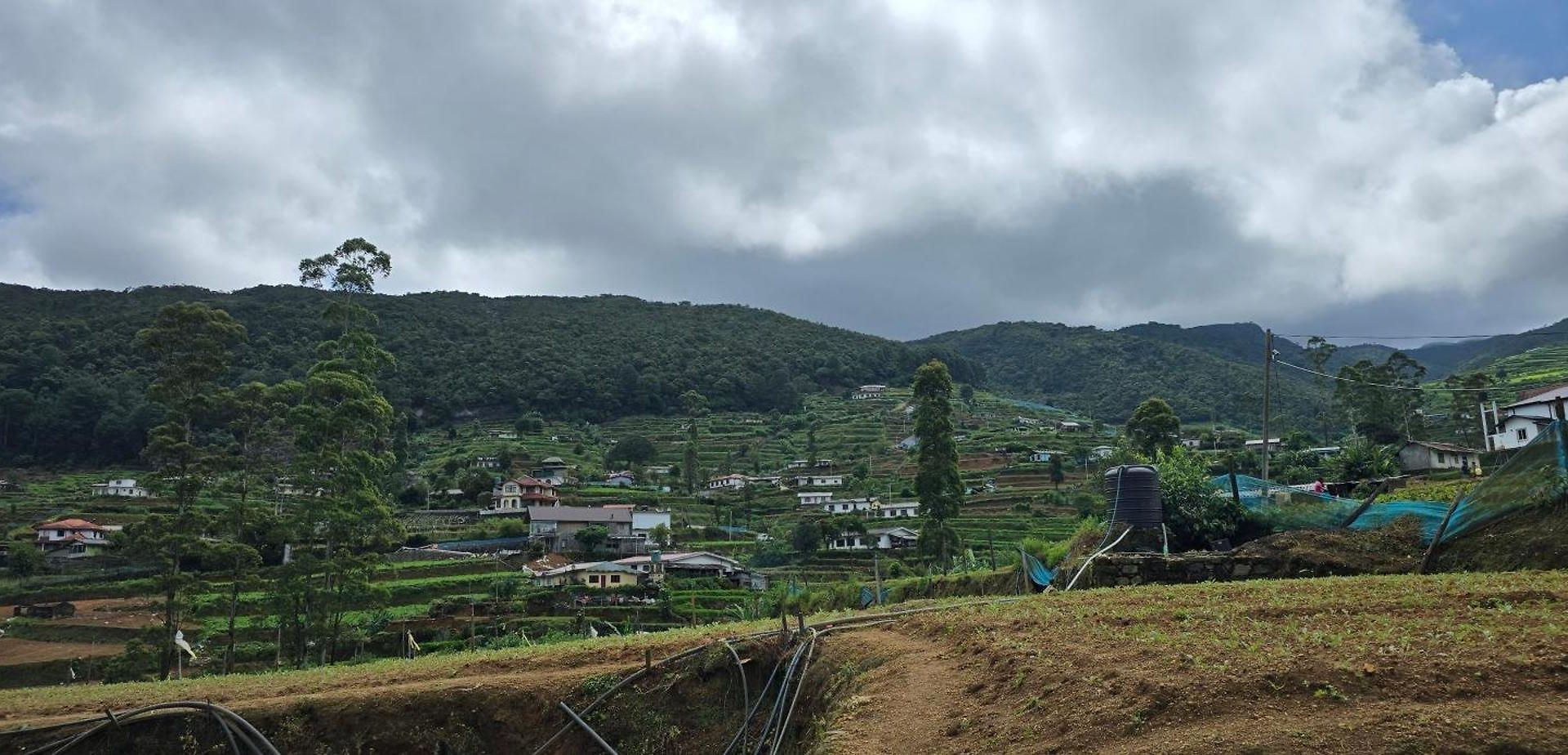 Thistest Nuwara Eliya