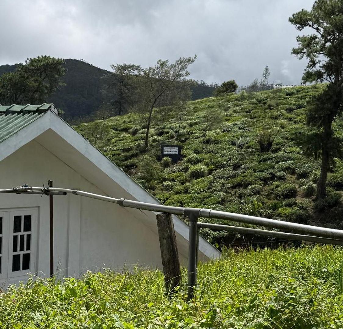 Breezy Loft - Nuwara Eliya