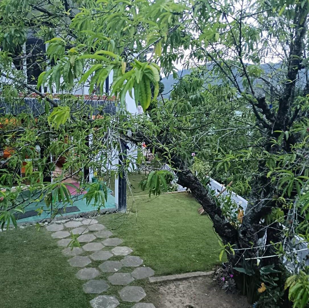 Havelock 3* Nuwara Eliya