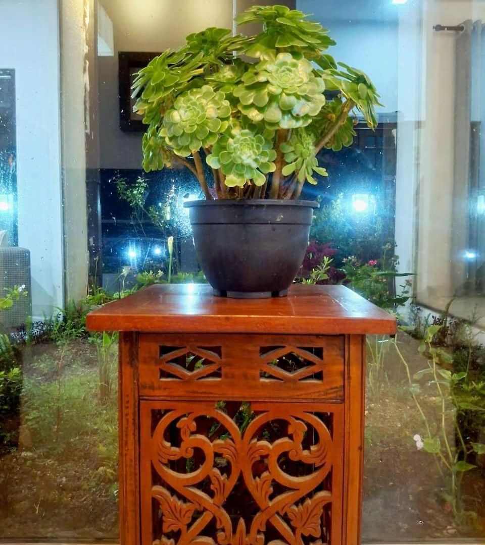 Ivy Nuwara Eliya