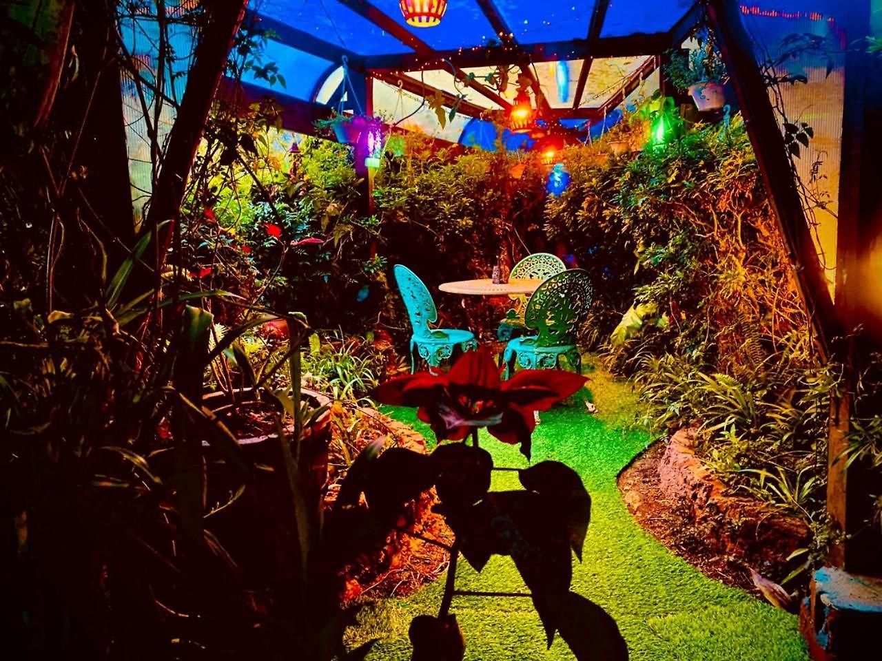 Guest house Serendipity Artistic By Heidis 3*