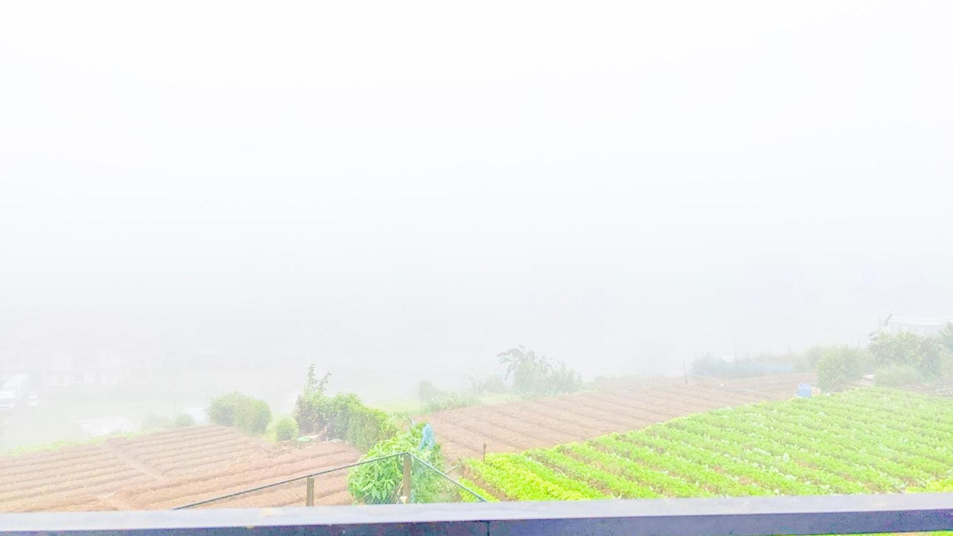 Ivy Nuwara Eliya