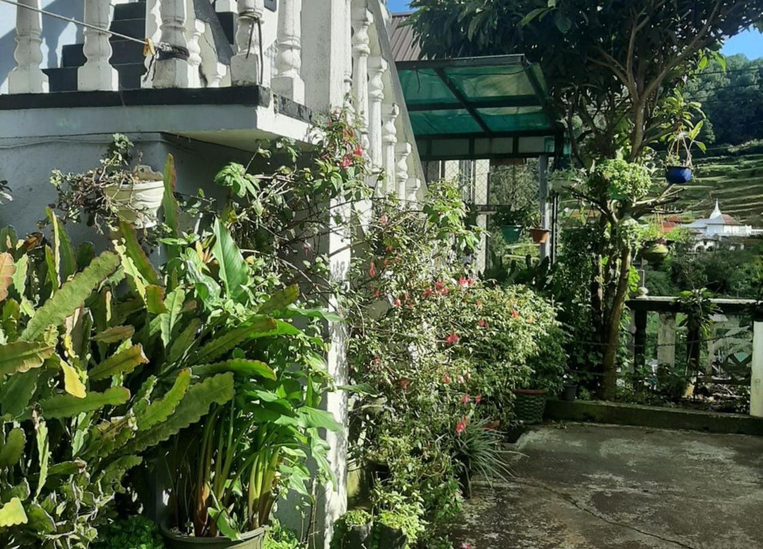 Guest house Mapelle House Nuwara Eliya