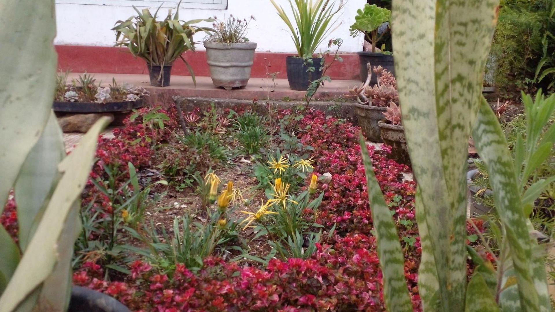 Homestay Blackpool 55 Nuwara Eliya