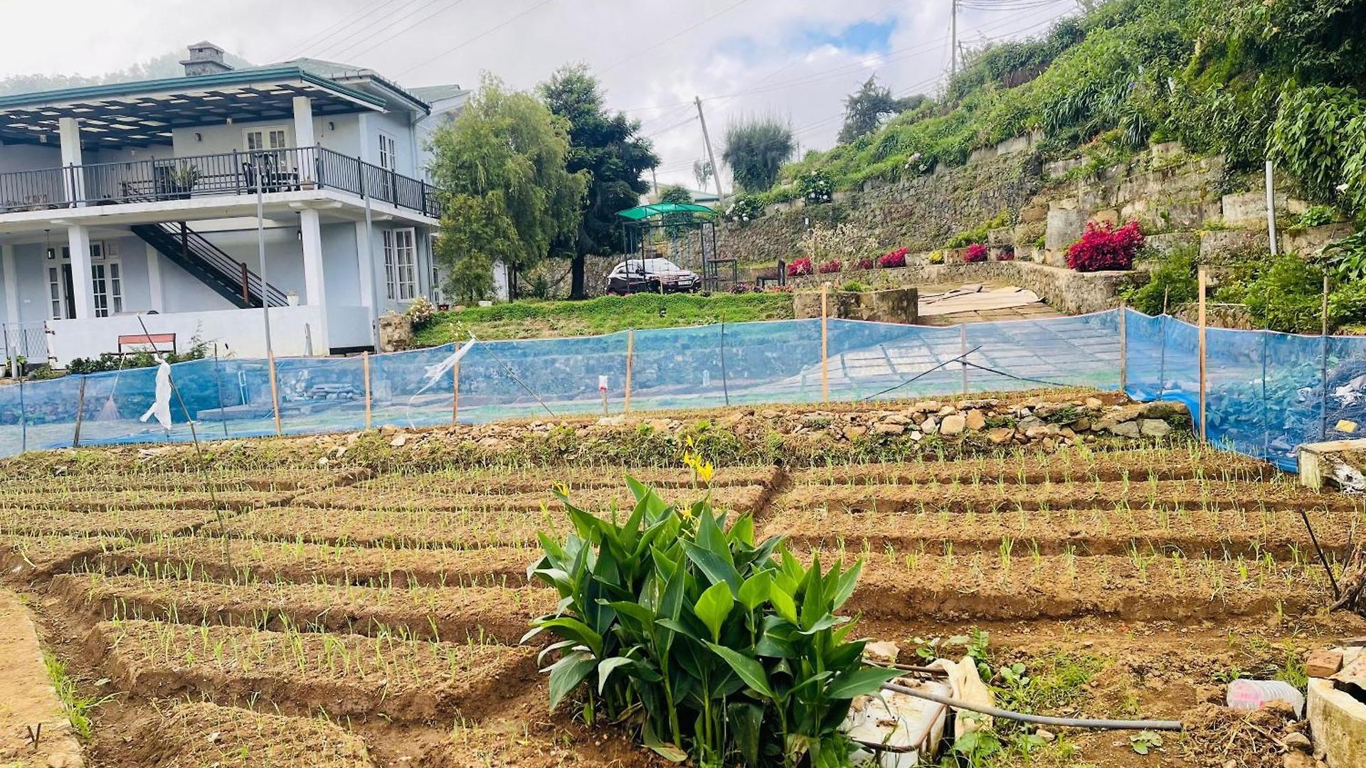 Lavender Hotel Nuwara Eliya