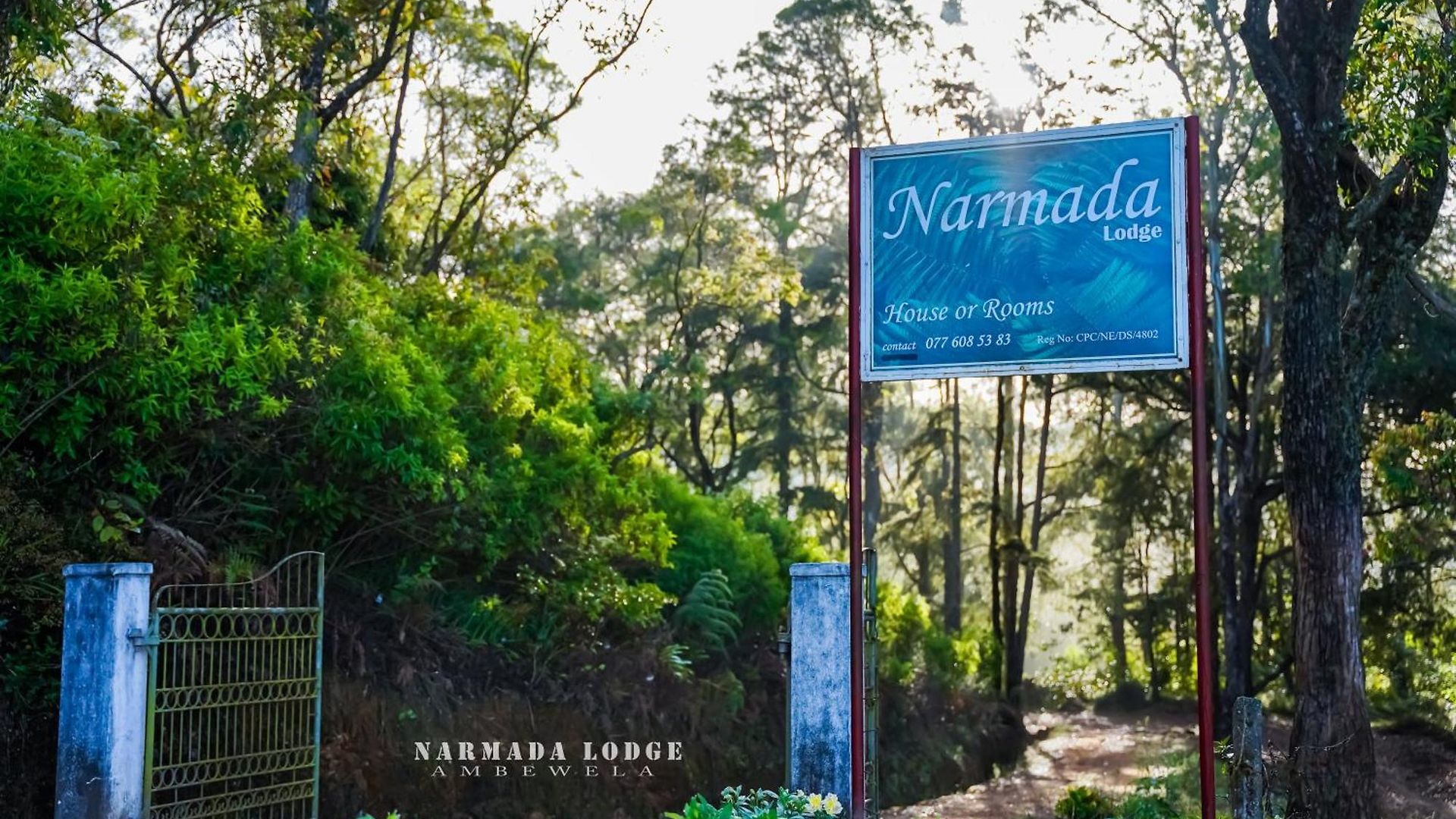 Ambewela Narmada Lodge Nuwara Eliya
