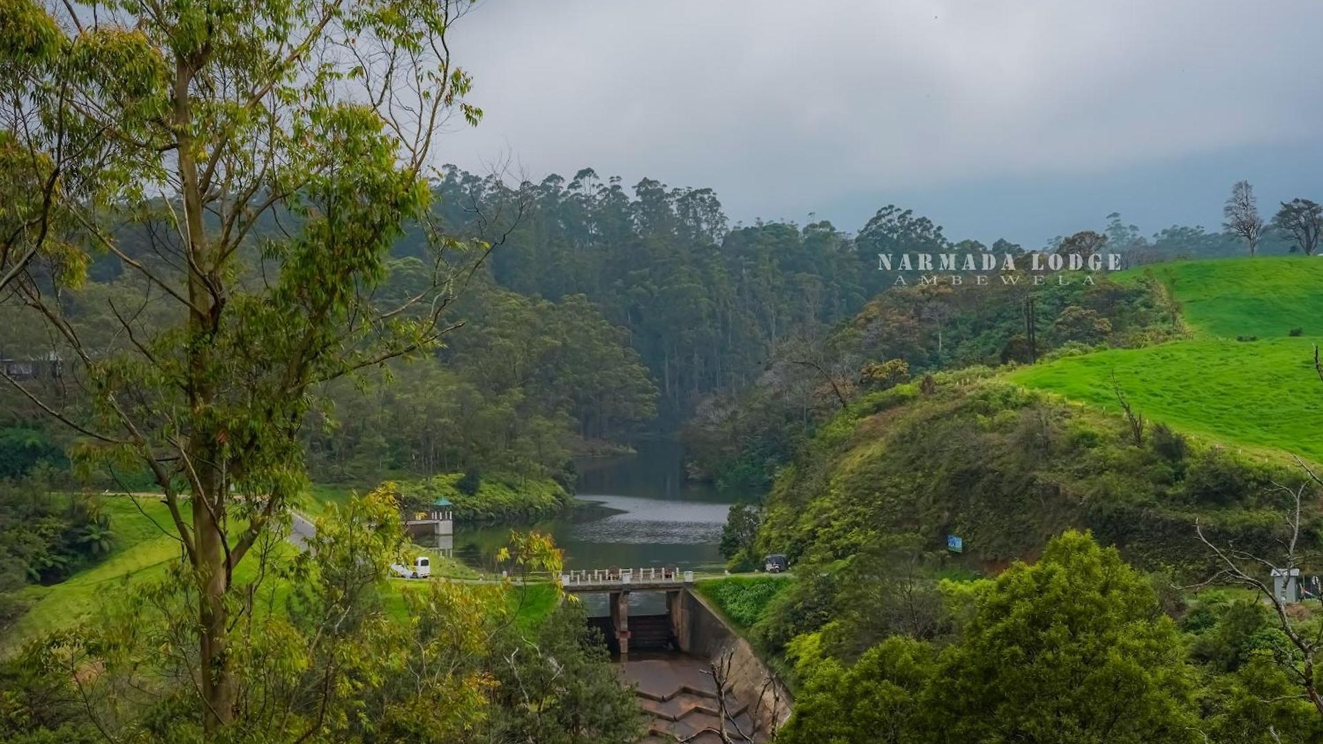 Ambewela Narmada Nuwara Eliya