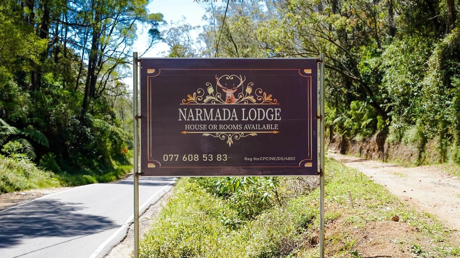 Ambewela Narmada Lodge *
