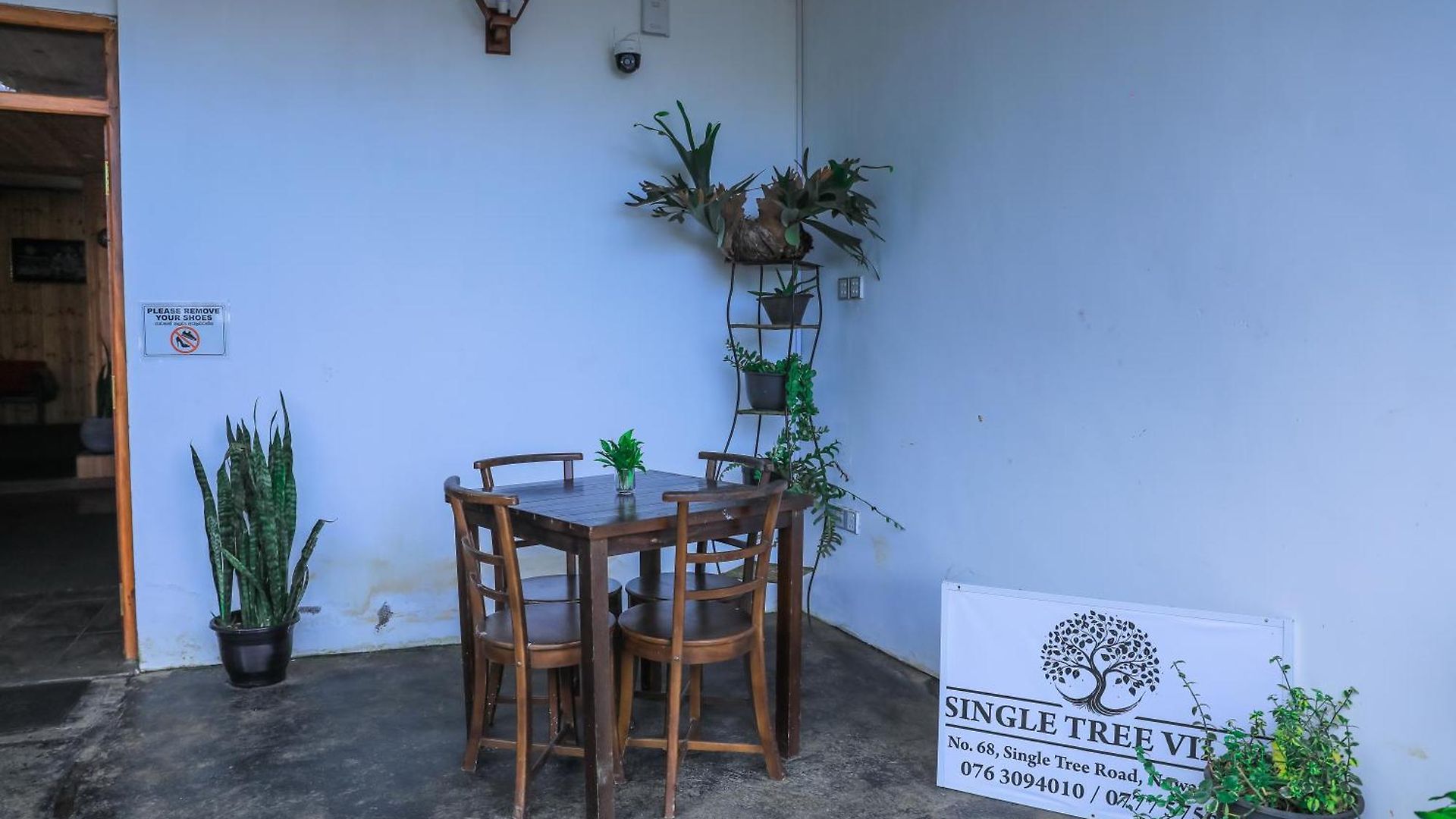 Hotel Single Tree