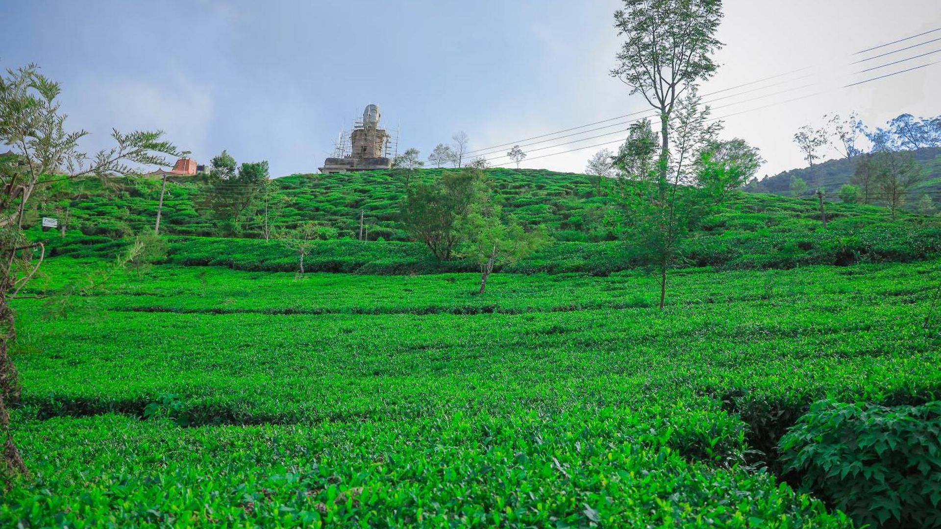 Hotel Single Tree Nuwara Eliya