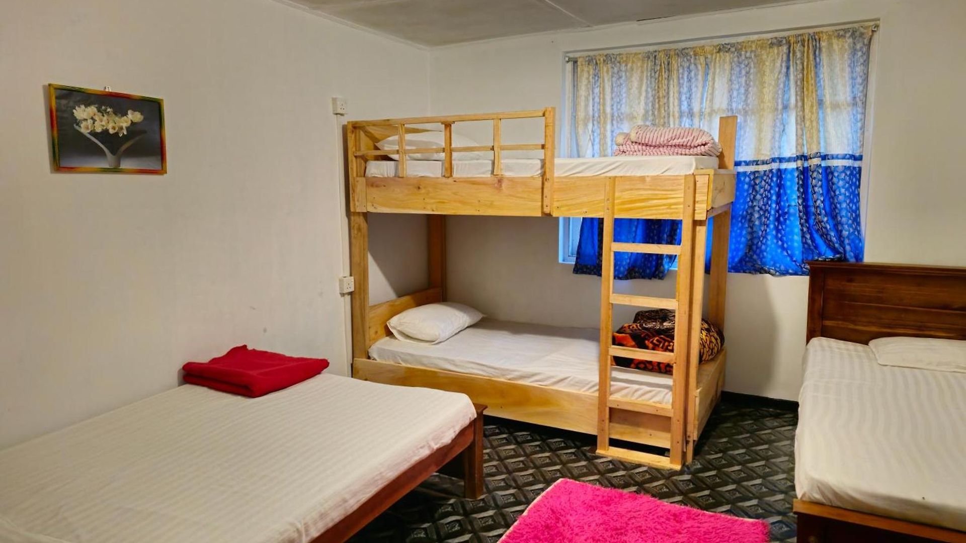 Haven Backpackers