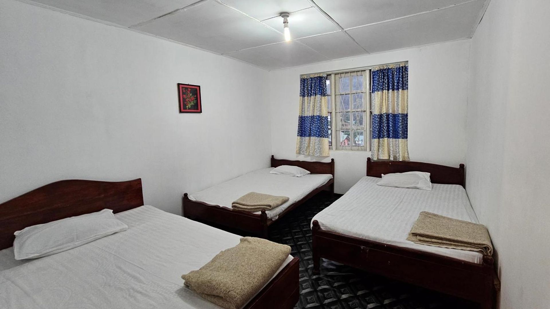 Hostel Haven Backpackers