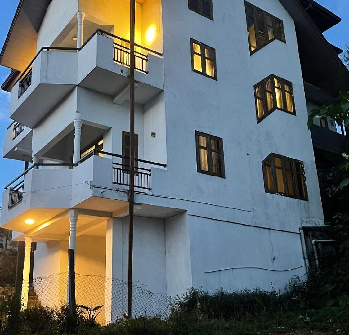 Zonova Mist * Nuwara Eliya
