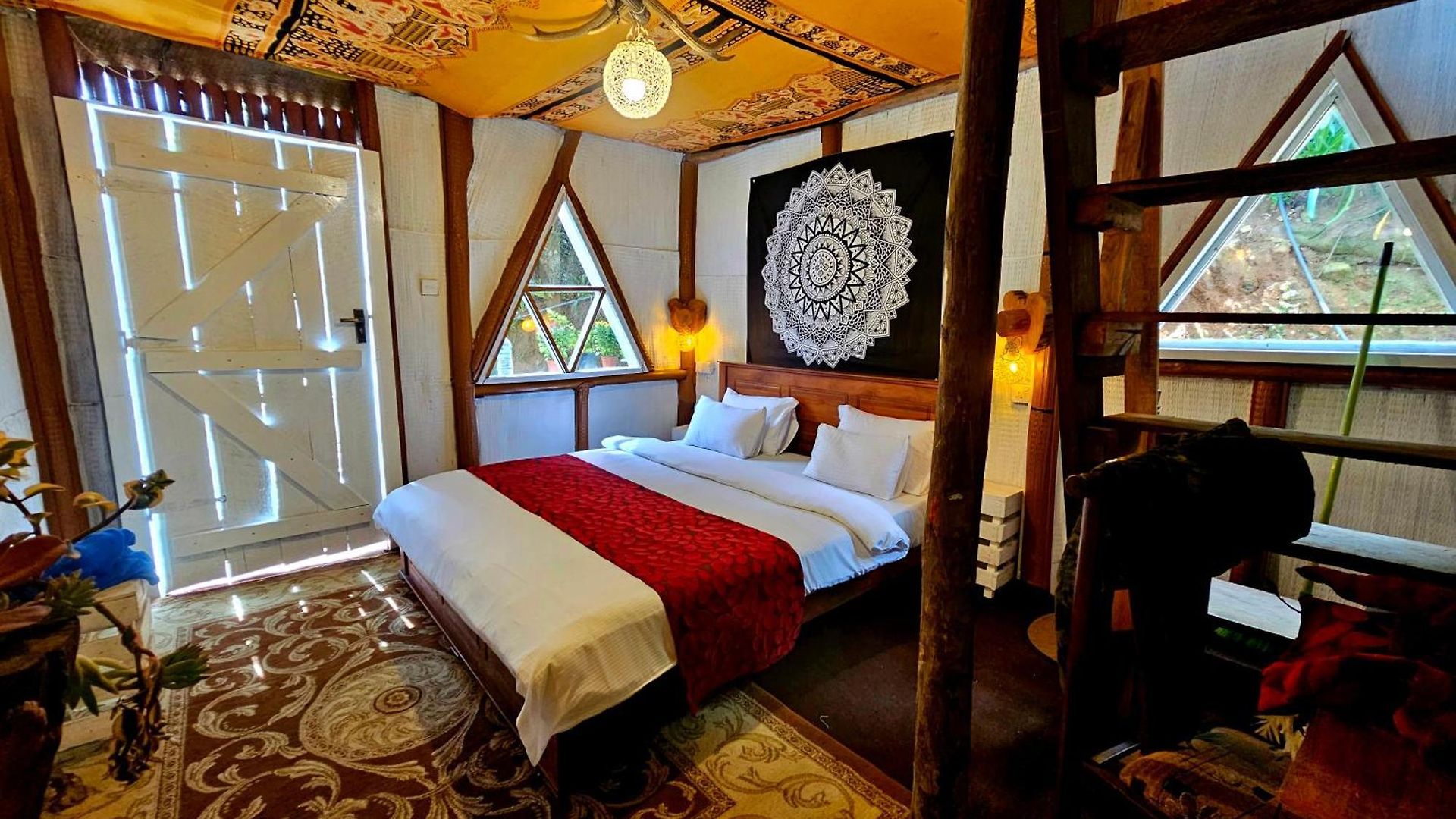Hostel Haven Backpackers