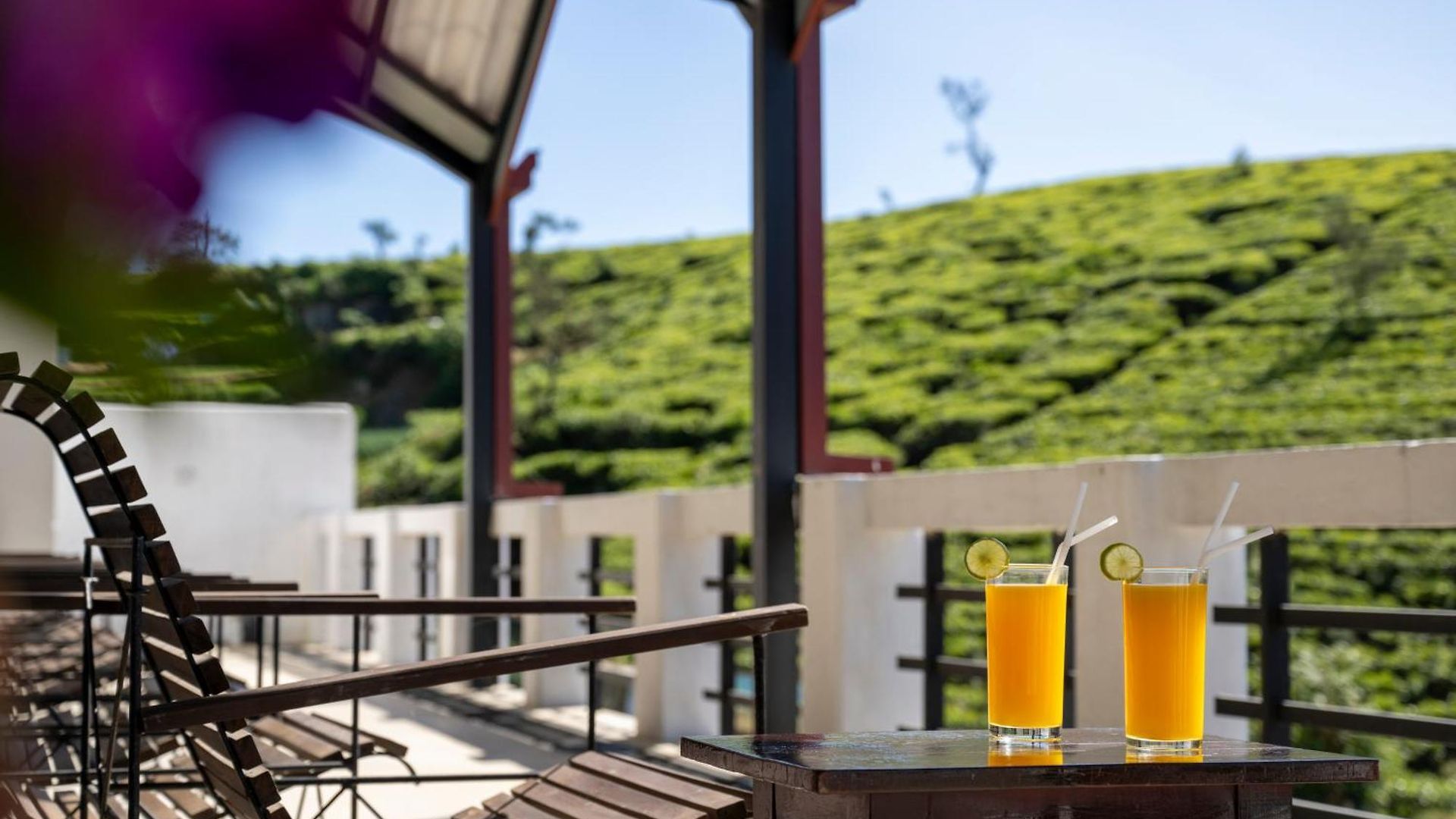 Hotel Palazzo Gregory