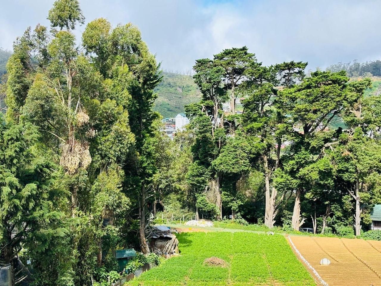 Misty Mountains Apartment Nuwara Eliya