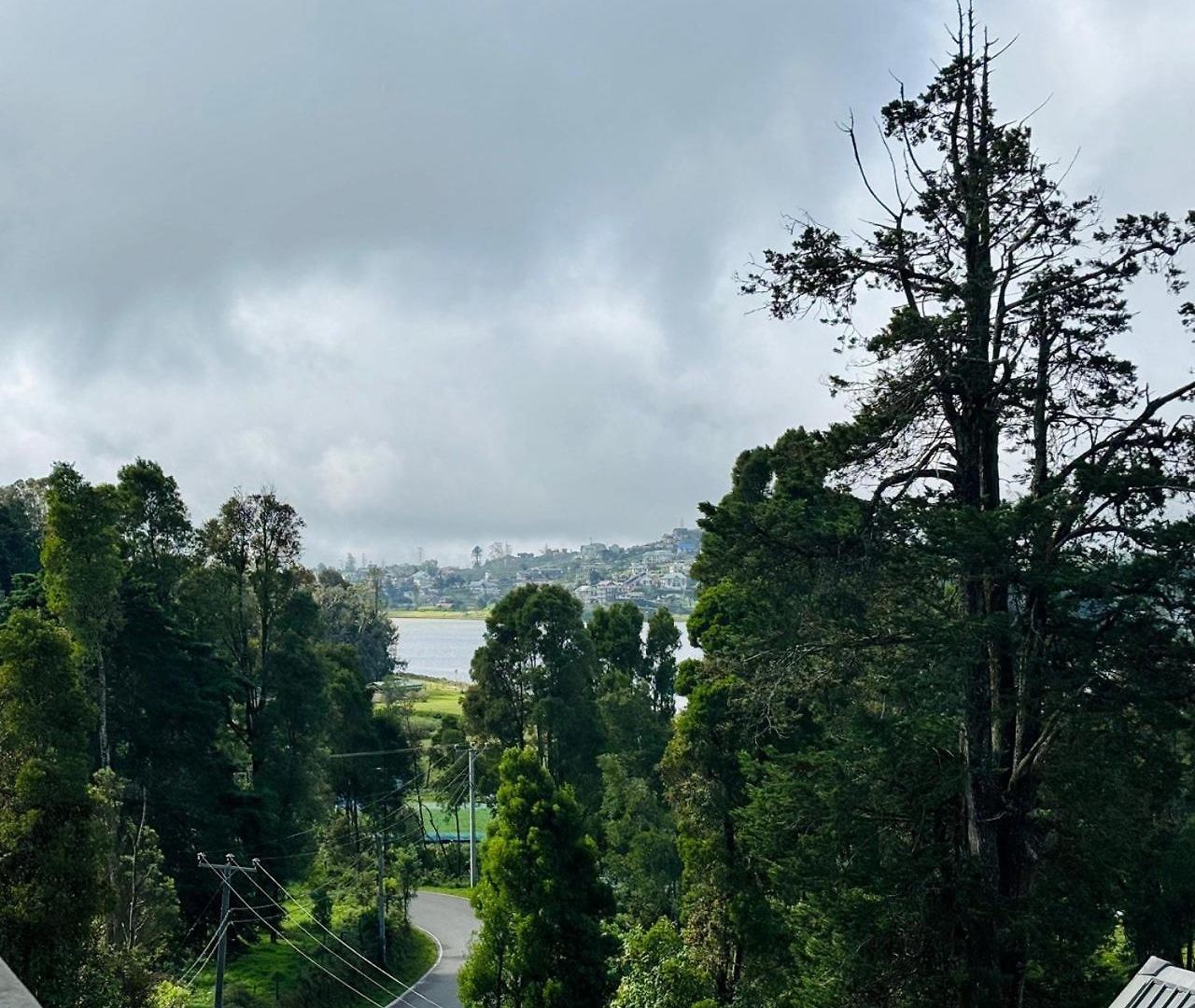 Misty Mountains * Nuwara Eliya