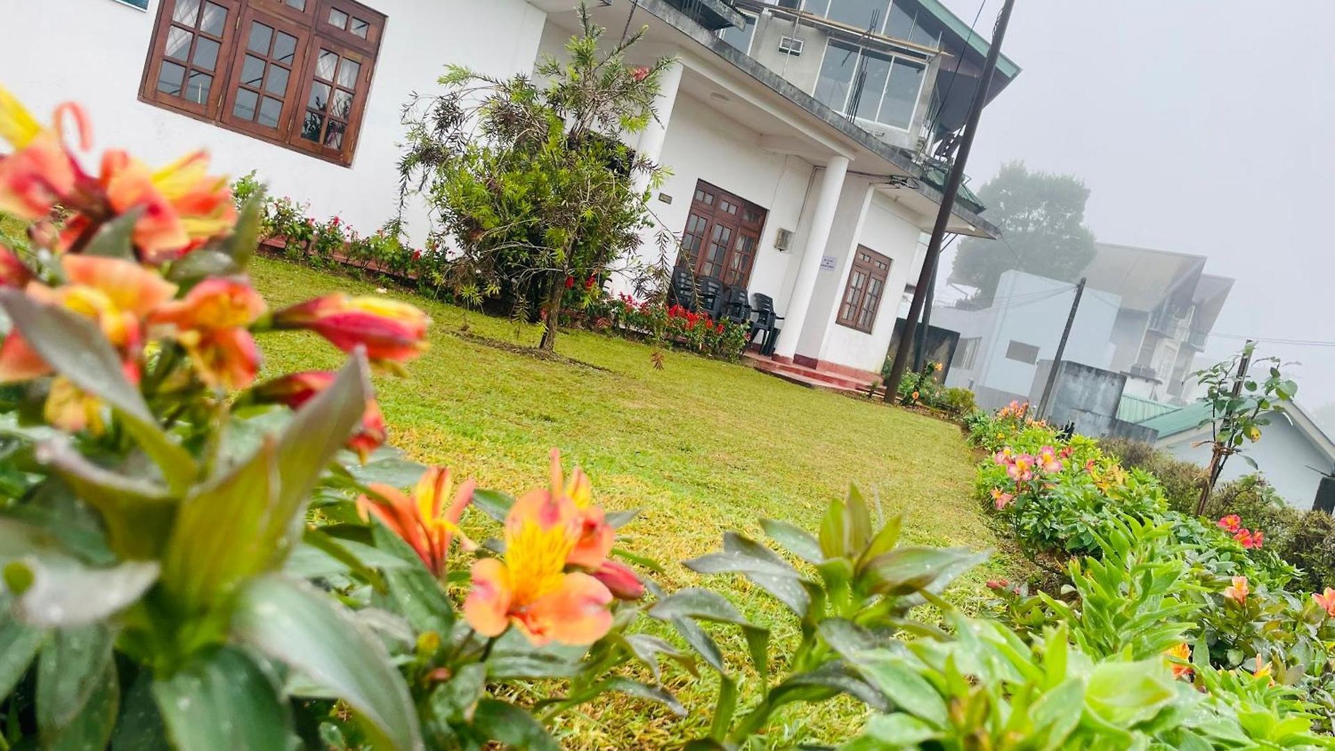 Gregory * Nuwara Eliya