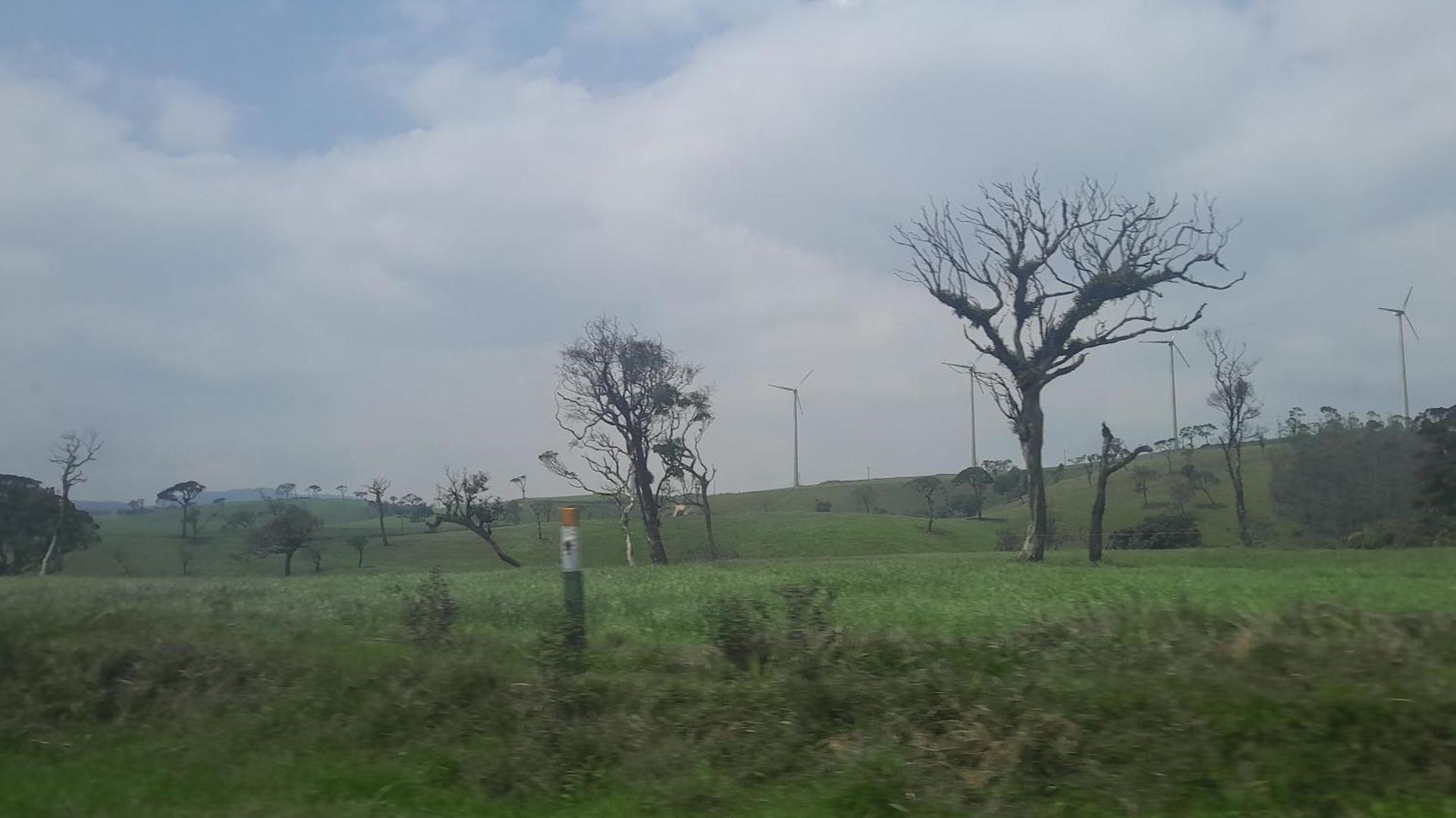 Holiday home Hill