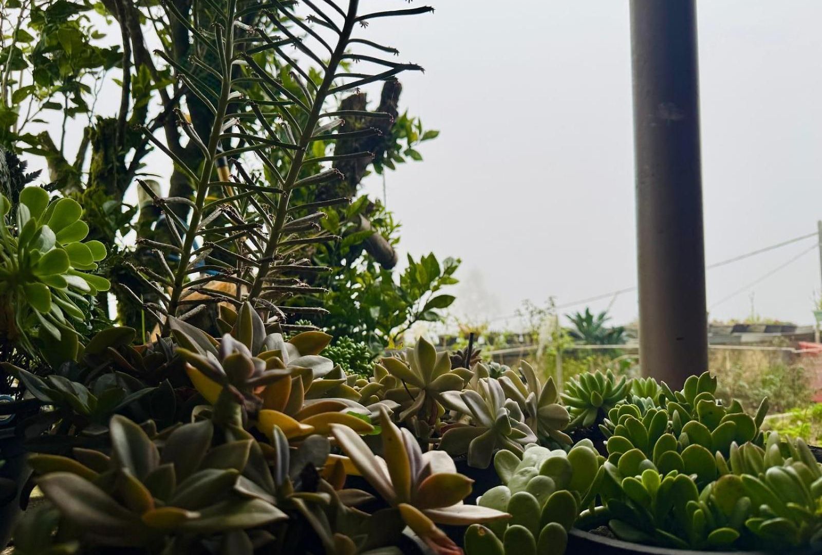 Lakshmi Illam Homestay Nuwara Eliya